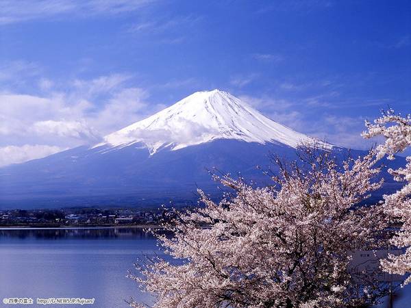 TOUR NHẬT BẢN: TOKYO–NÚI PHÚ SĨ-KAMAKURA